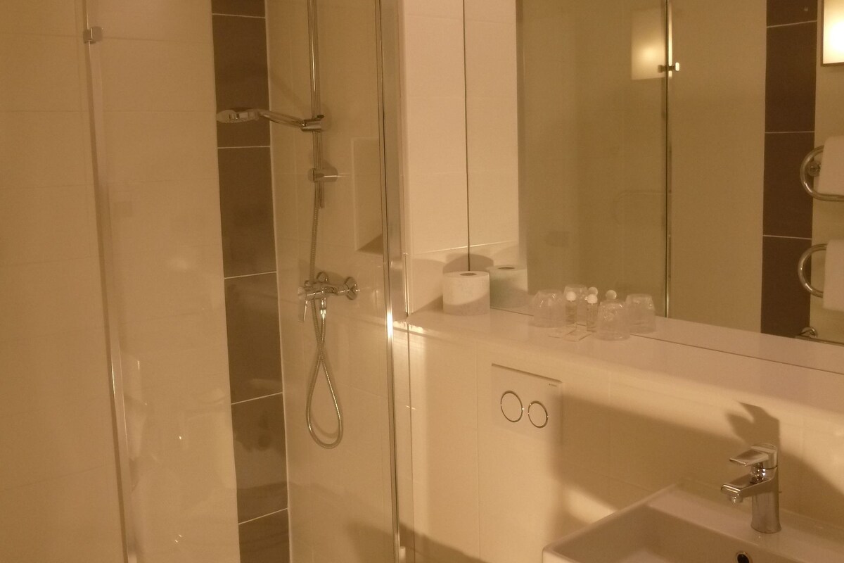 A modern bathroom with a glass-enclosed shower, a toilet, and a sink.
