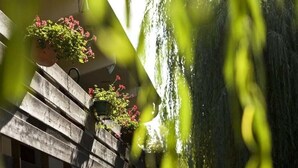 A building with wooden steps and potted plants. - Hôtel Pavillon des Gâtines (Plaisir)