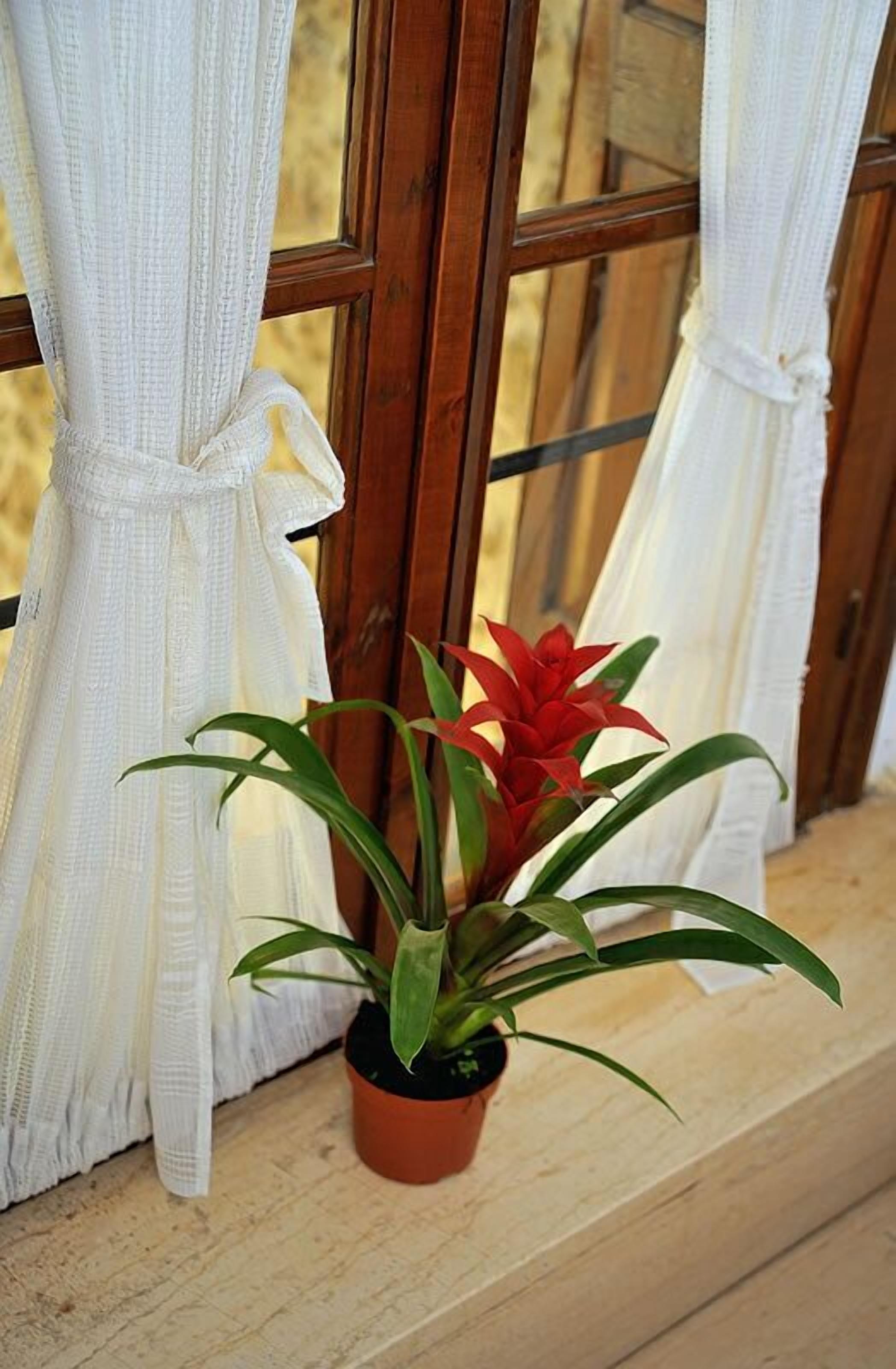 Photo - Hotel Byzantine