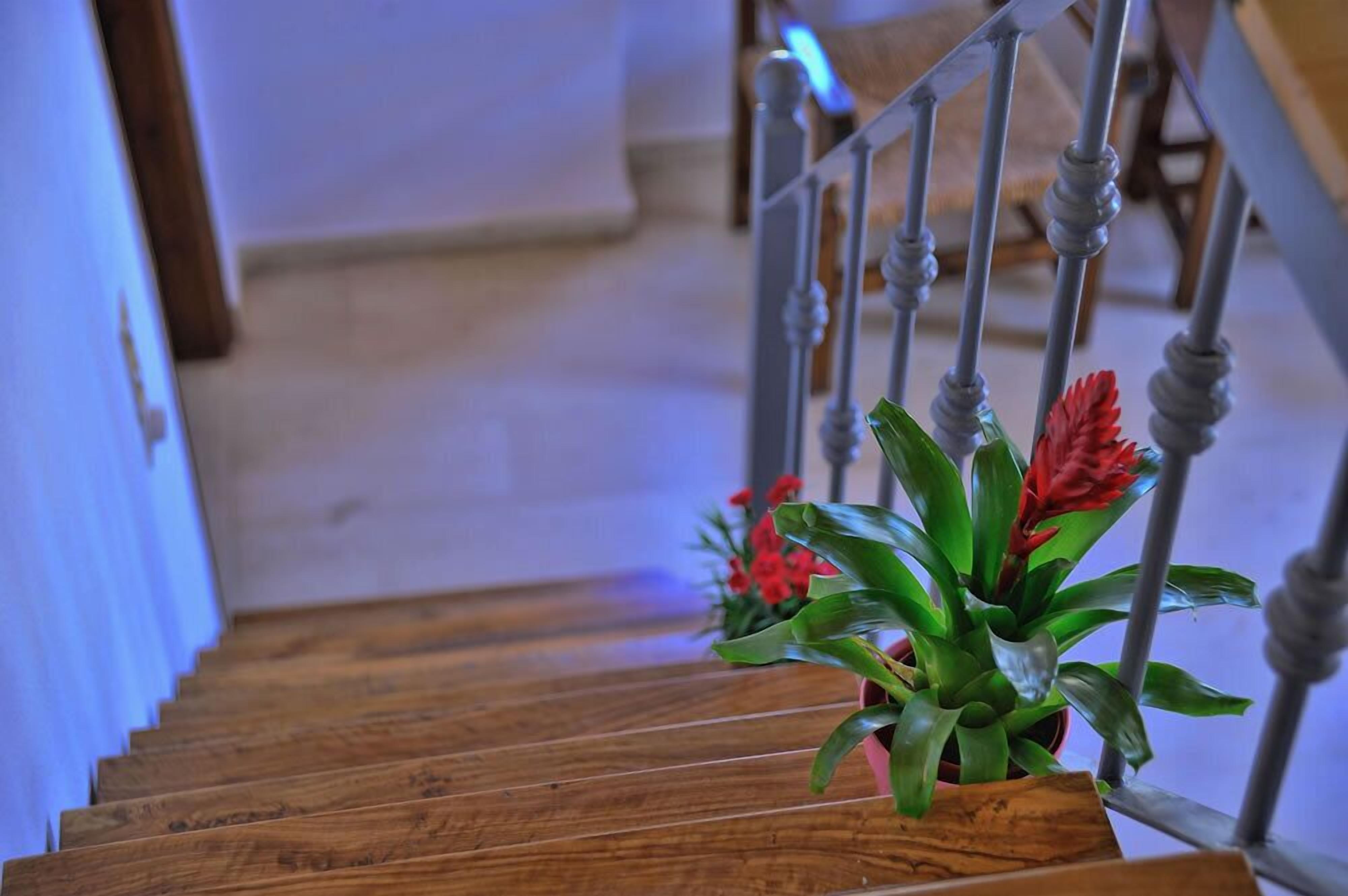 Photo - Hotel Byzantine