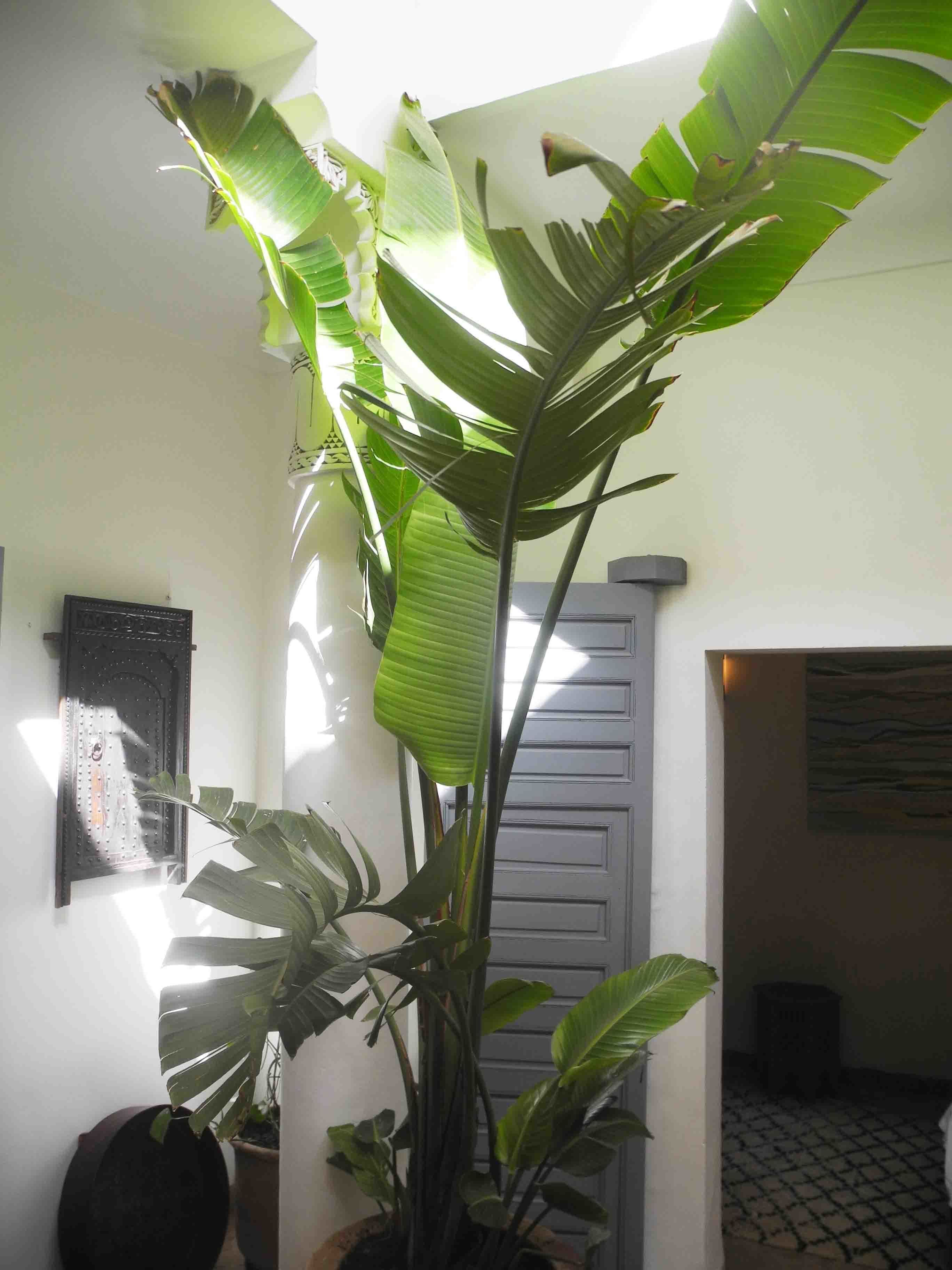 Photo - Riad Linda