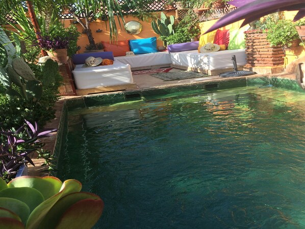 Piscina a l'aire lliure i gandules 