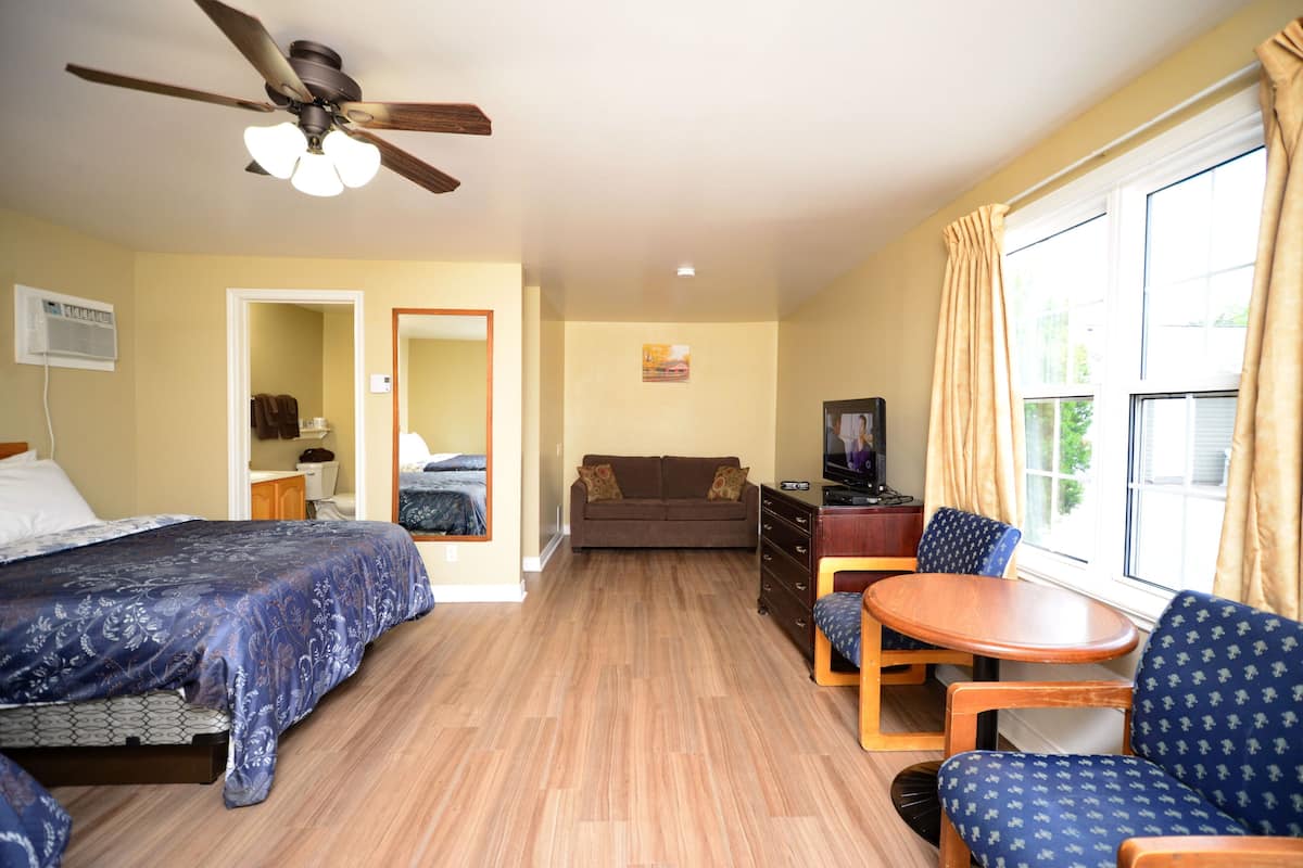 A hotel room with a bed, a sofa, a TV, a ceiling fan, and a window with curtains.