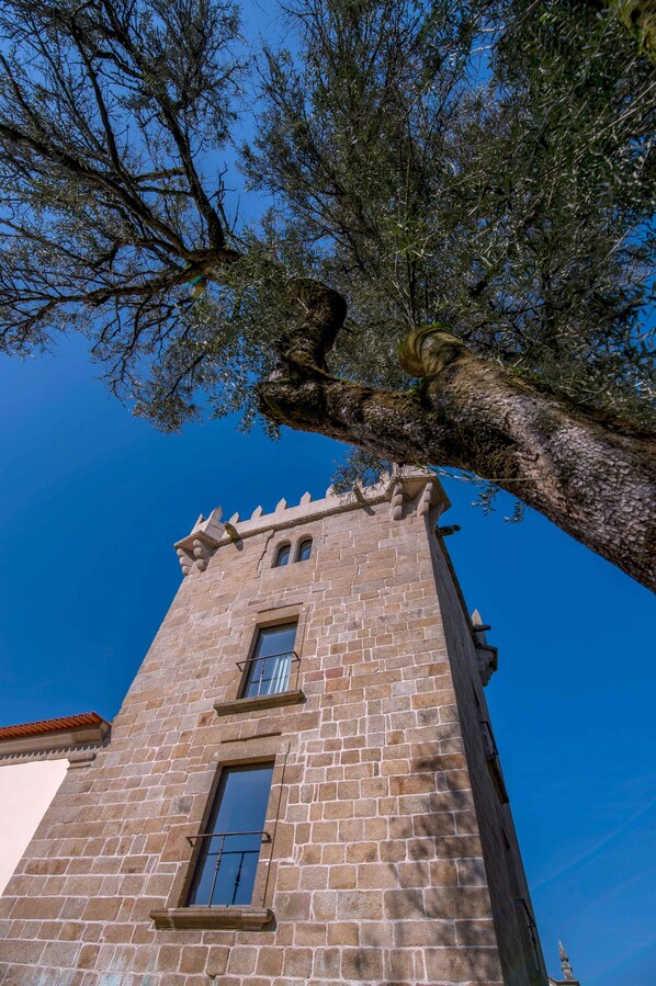 Una torre de piedra con almenas, una ventana y una rama de árbol por encima.