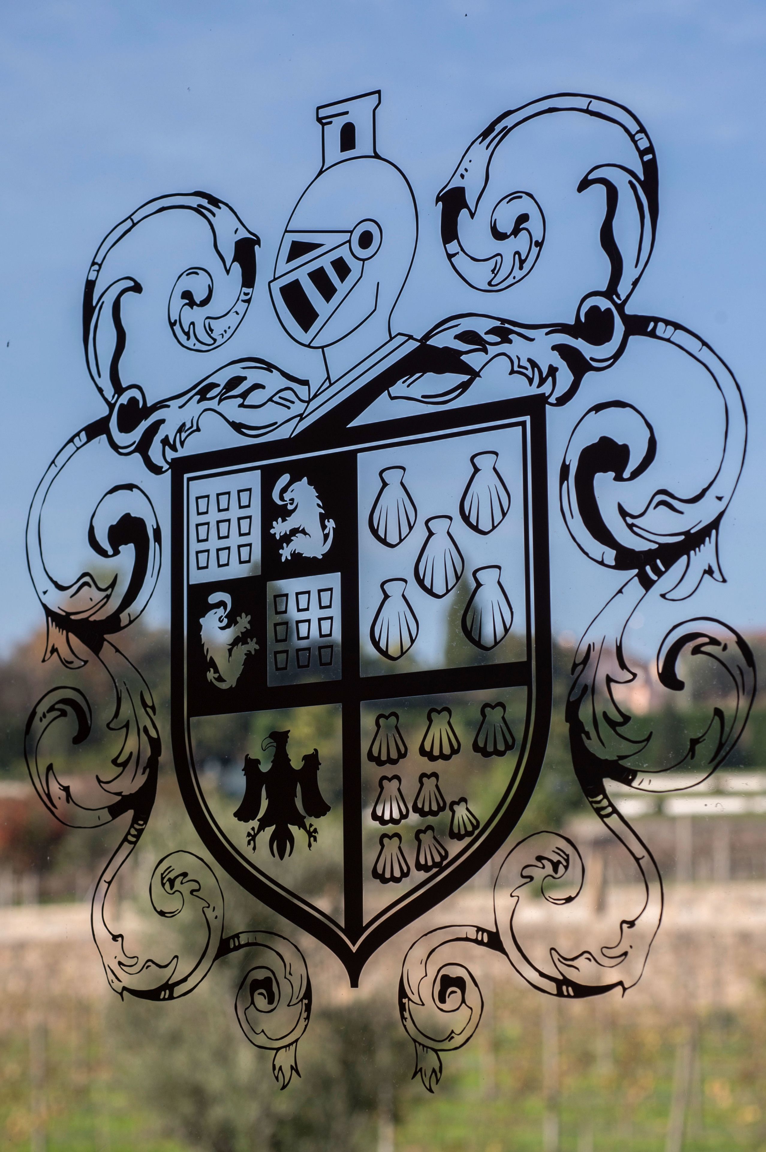 Un escudo heráldico con yelmo y cimera.