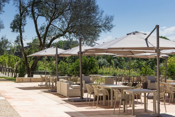 Un patio al aire libre con varias mesas y sillas, cubierto por sombrillas grandes, rodeado de follaje y árboles.