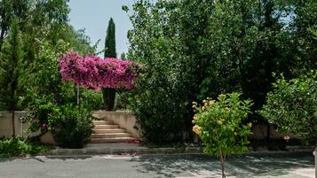 Rua residencial com escadaria que leva a uma casa, cercada por vegetação exuberante e plantas floridas.