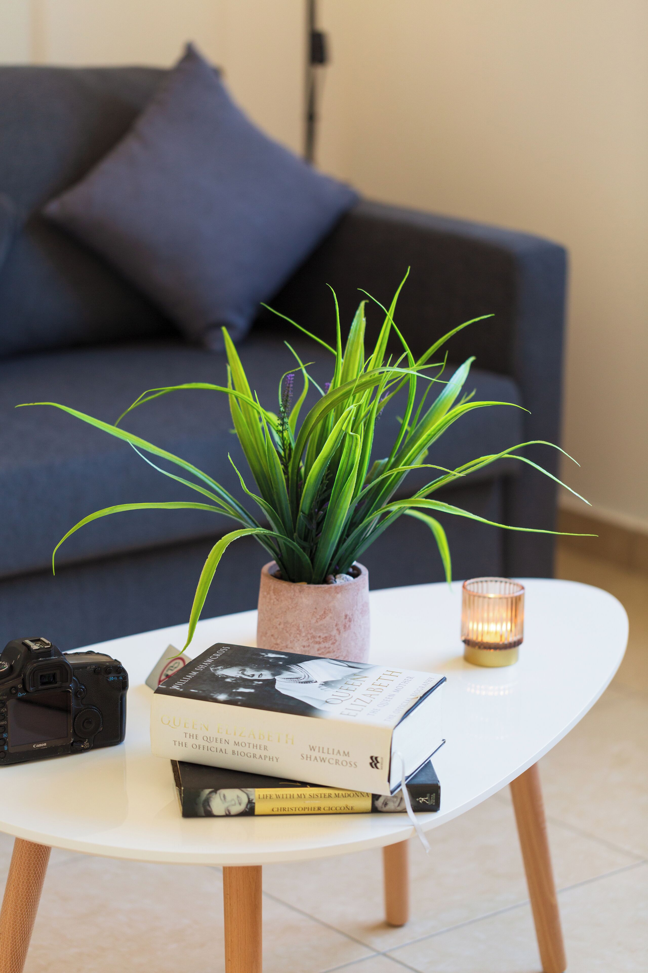 Una mesa de centro blanca con una planta en maceta, libros, una cámara y una vela.