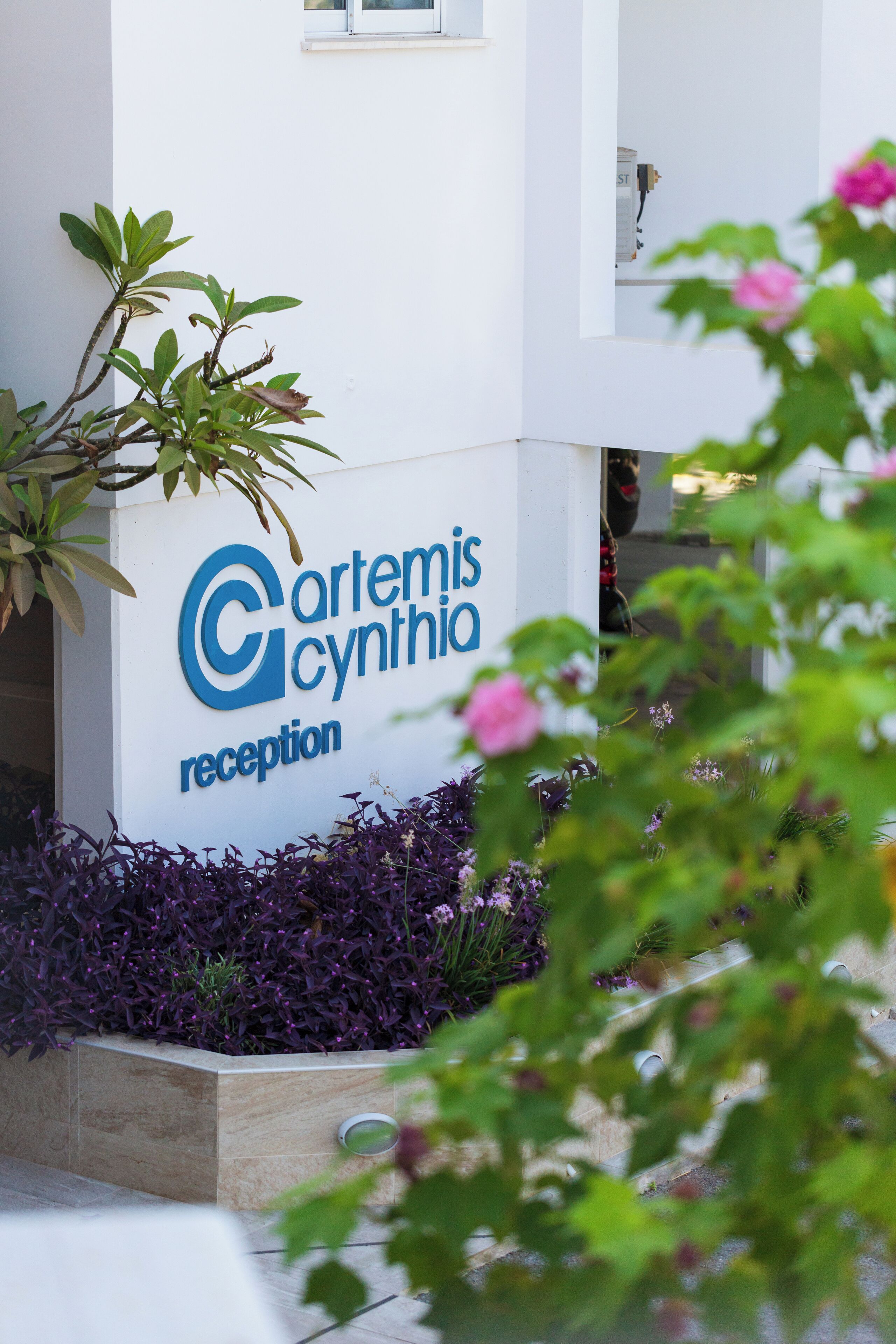 A reception area with a white wall and a sign that reads "Carmenis Cynthia reception".