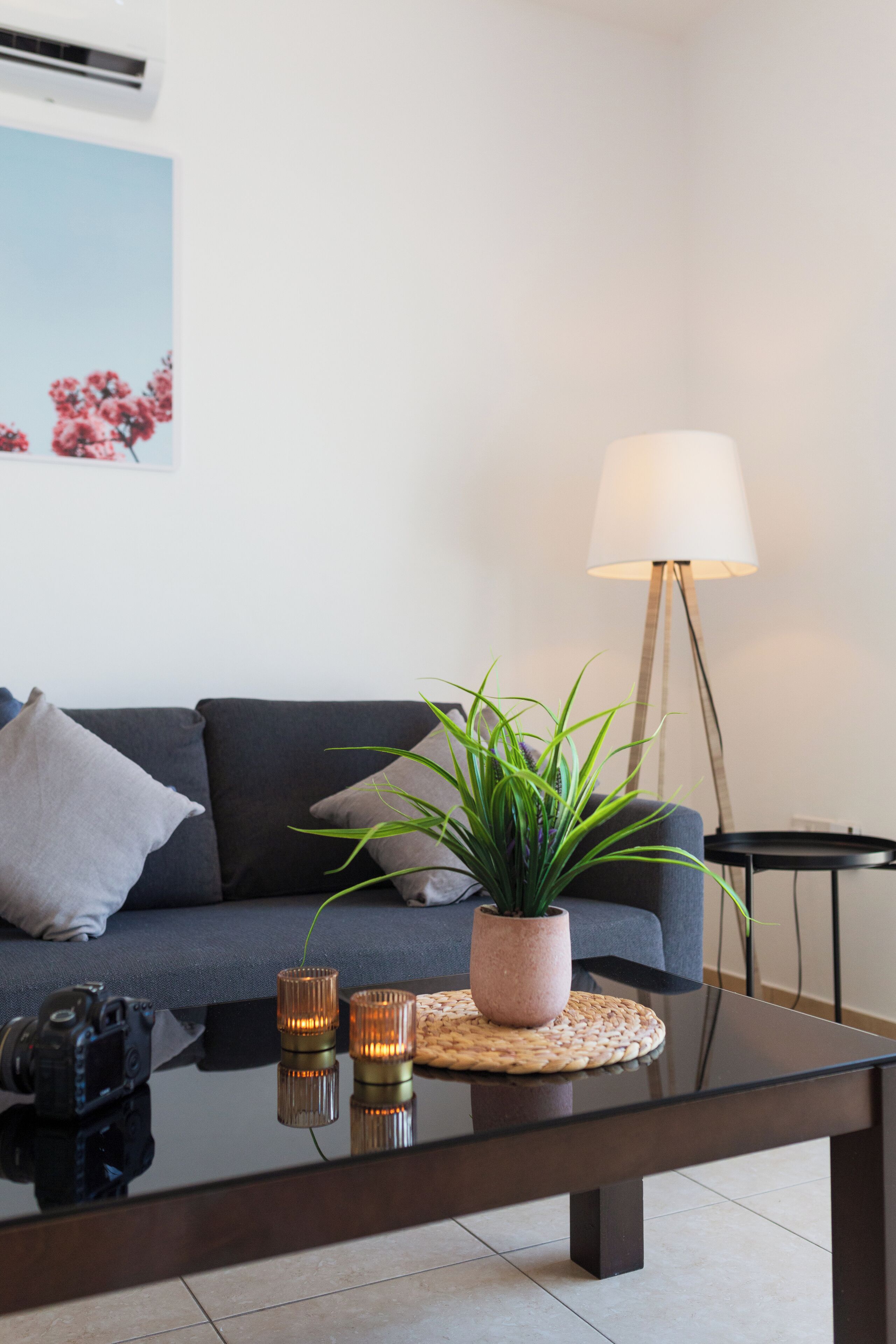 A modern living room with a dark sofa, a glass coffee table, a potted plant, and a floor lamp.