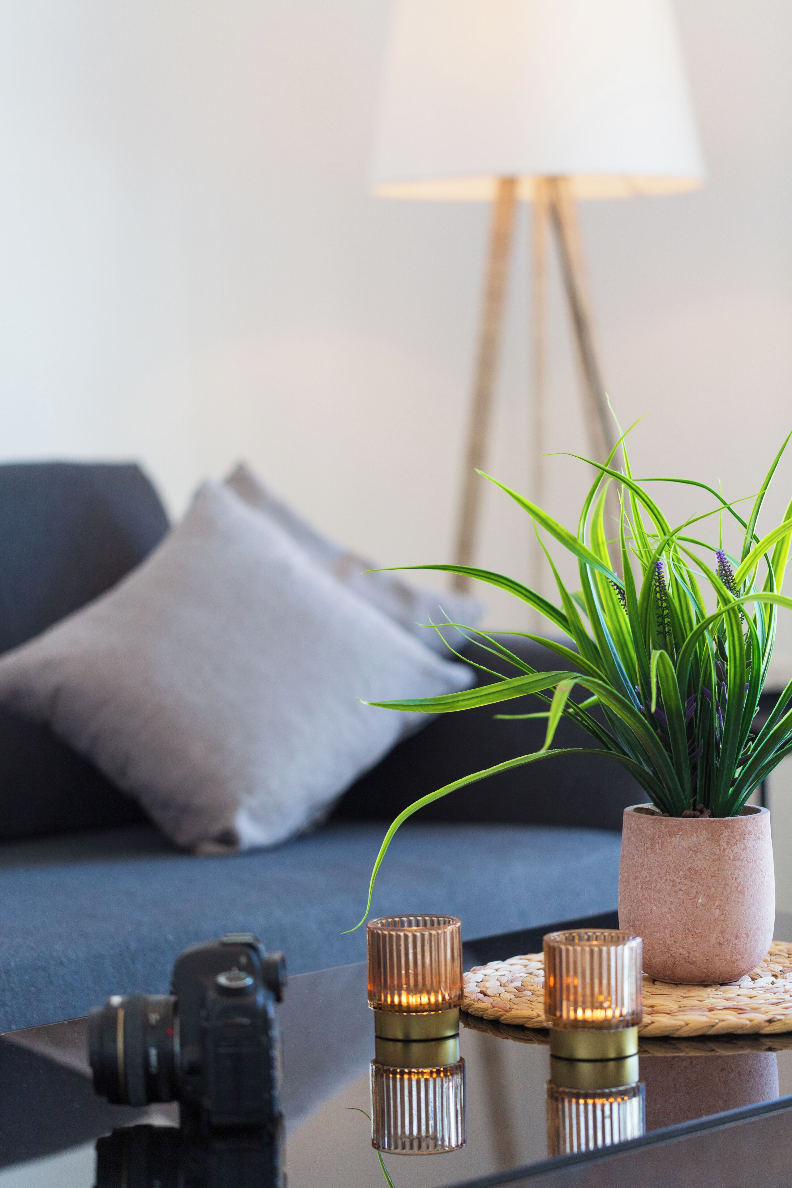 Ein modernes Wohnzimmer mit einer Couch, einer Topfpflanze und einer Kamera auf einem Glastisch.