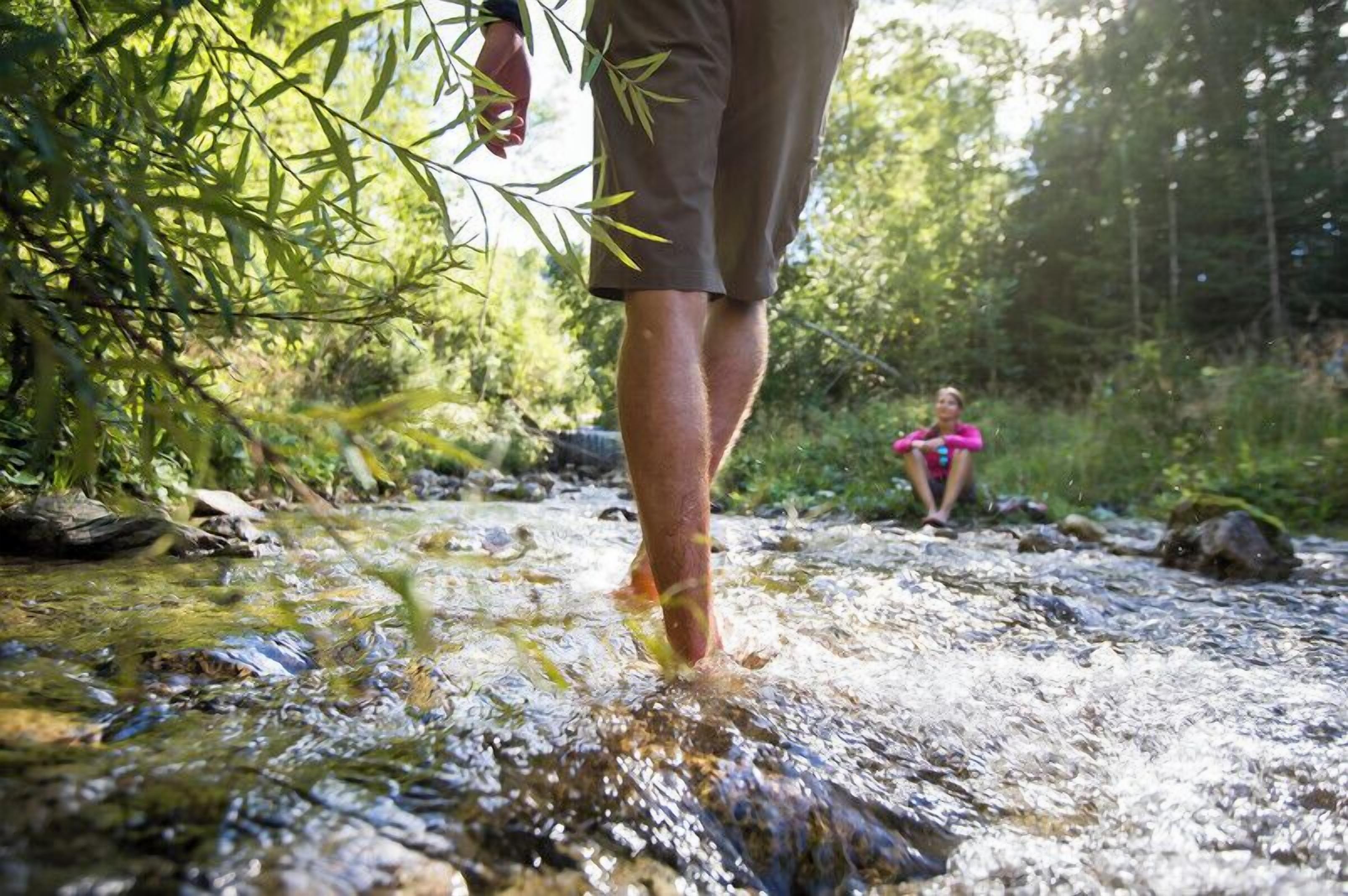 A person standing in a stream with a forested background.