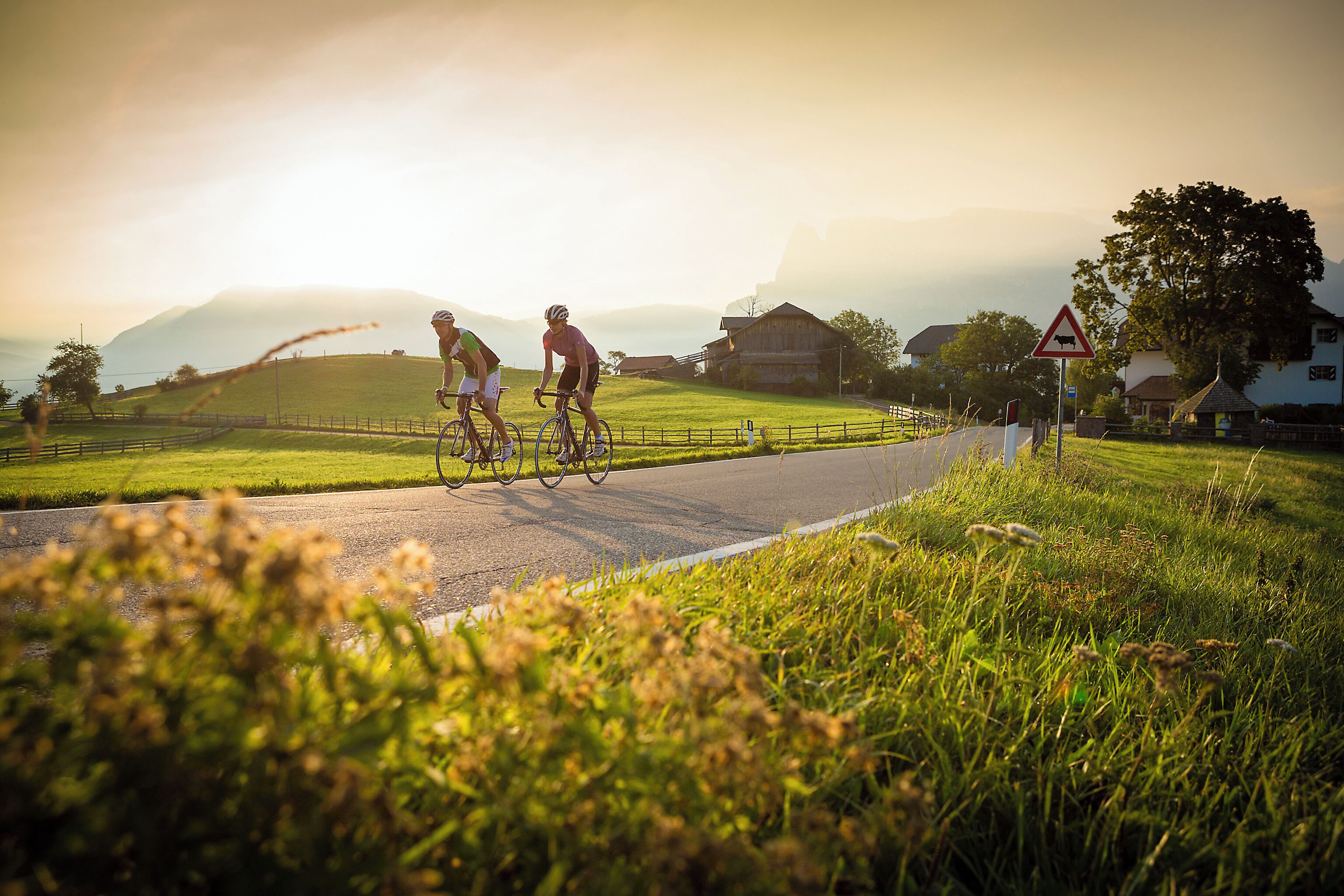 A rural road with cyclists, a warning sign, and a house in the background.