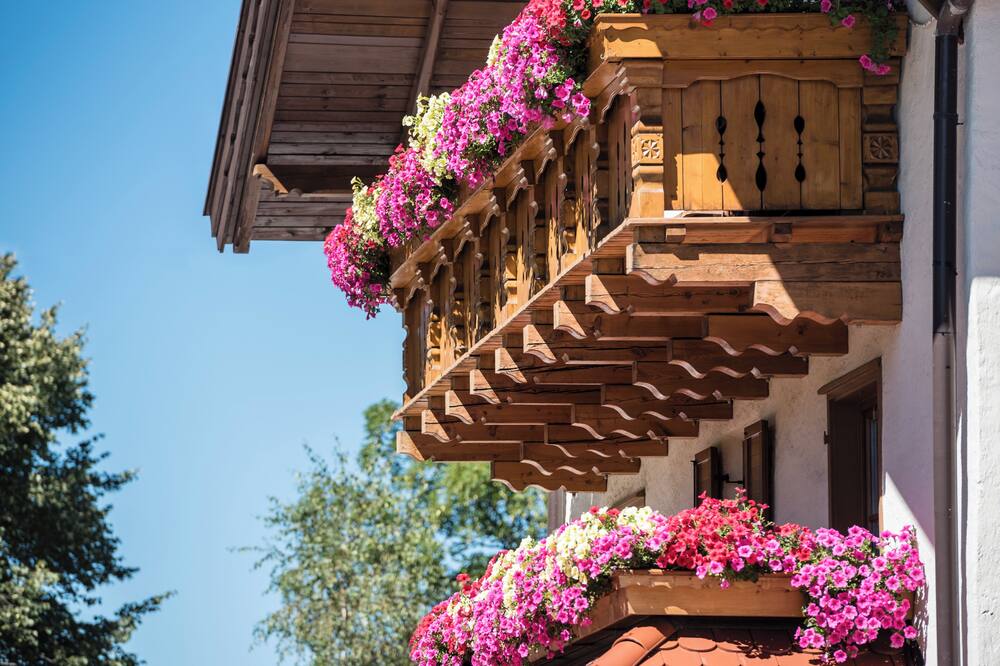 Hotel Peter