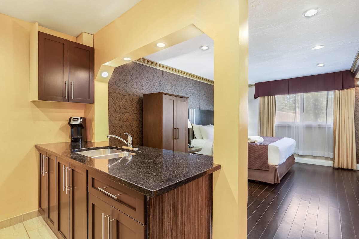 Chambre, 1 très grand lit, non-fumeur, cuisine | Bureau, fer et planche à repasser, accès au Wi-Fi (inclus)