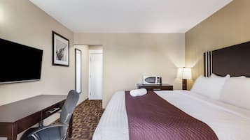 A hotel room with a bed, a desk, a chair, a television, a microwave, and a door.