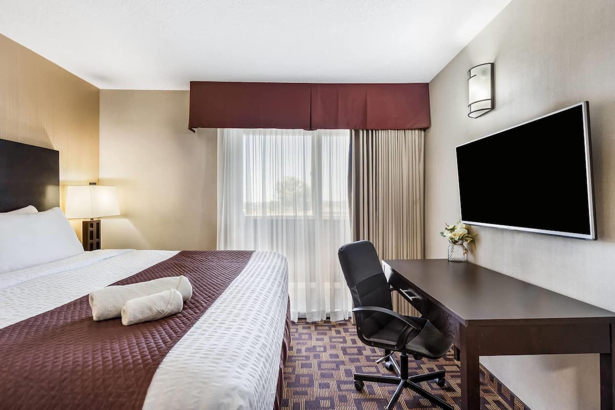 Chambre, 1 très grand lit, non-fumeur | Bureau, fer et planche à repasser, accès au Wi-Fi (inclus)