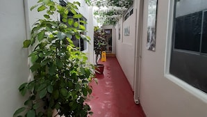 A narrow hallway with a red carpet, white walls, and a white ceiling. There are potted plants on the left and a white lattice structure with hanging greenery on the right. A yellow caution sign is visible on the floor. - Casa Boston Inn (Barranquilla)