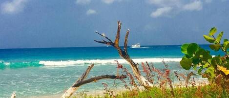 Beach nearby, white sand, beach towels