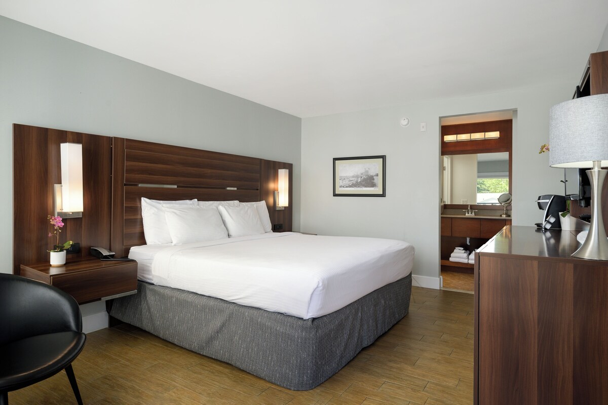 Standard Single Room, 1 King Bed | In-room safe, iron/ironing board, WiFi (free), bed sheets