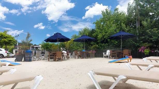 A sandy outdoor area with lounge chairs and umbrellas, surrounded by trees and a wooden fence. - Crosswinds Rehoboth  (Rehoboth Beach)