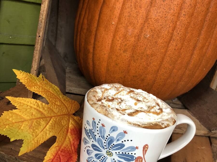 Ein Kürbis, eine Tasse mit Blumenmuster und Herbstlaub auf einer Holzfläche.