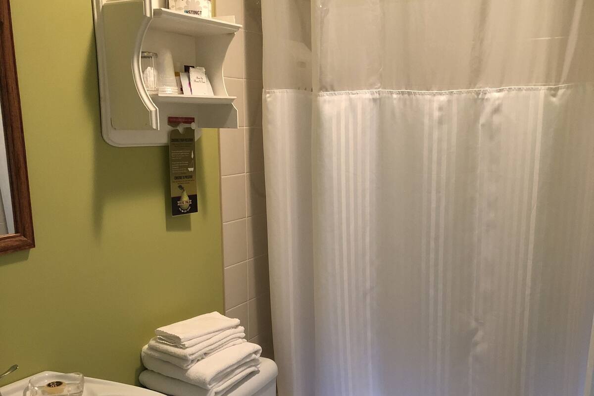 family room (frenette) | bathroom | combined shower/bathtub, free toiletries, hair dryer, towels