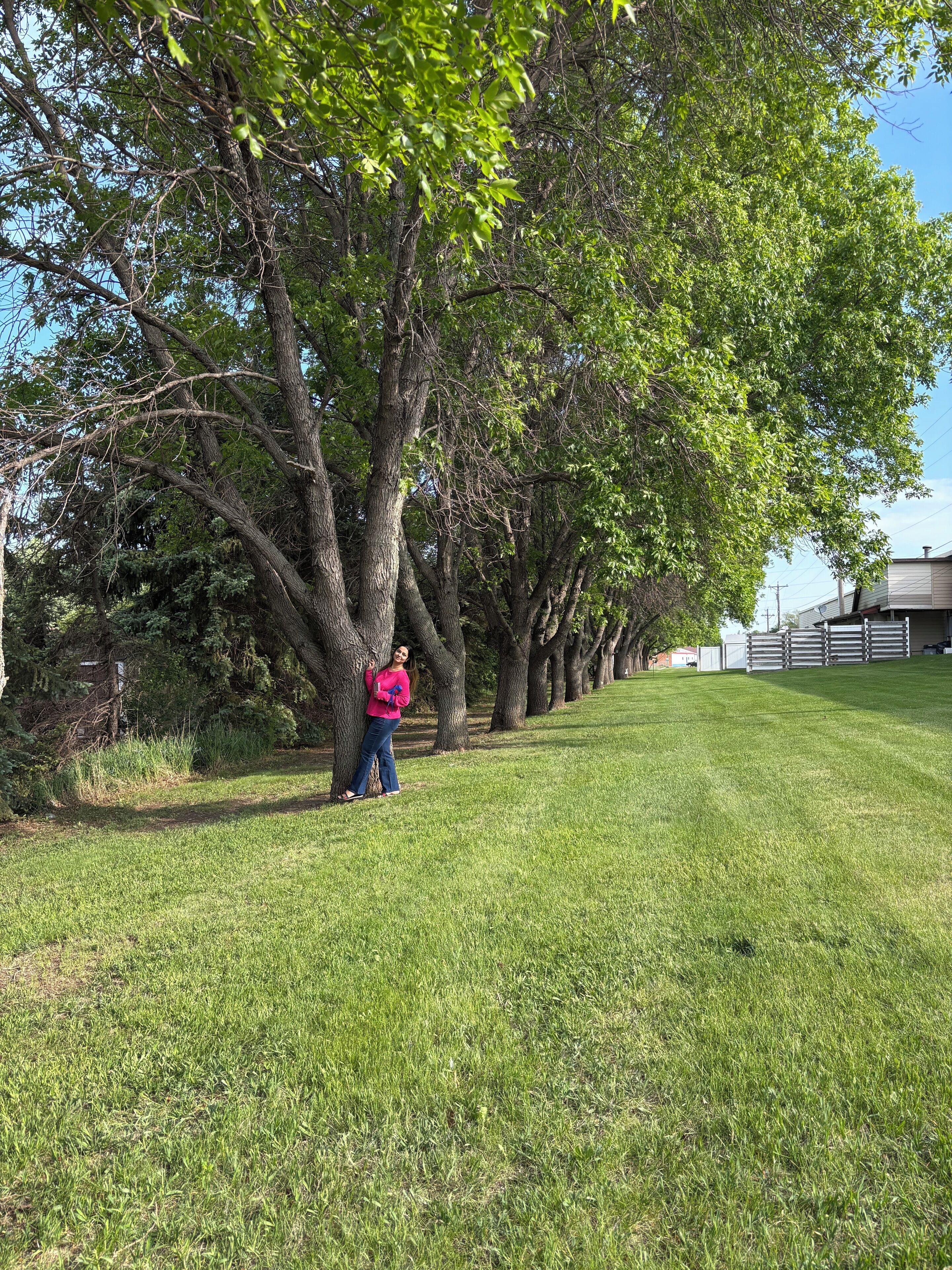 A grassy area with trees and a building in the background.