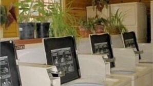 Eine Reihe von Waschbecken mit Informationsplakaten in einem Raum mit Holzwänden und Topfpflanzen.