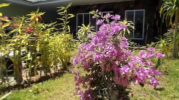 Jardín