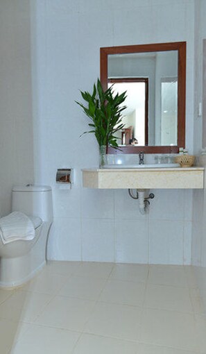 Douche, articles de toilette gratuits, serviettes fournies