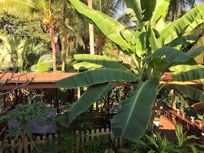 Standard Twin Room | Terrace/patio - Villa Sayada (Luang Prabang)