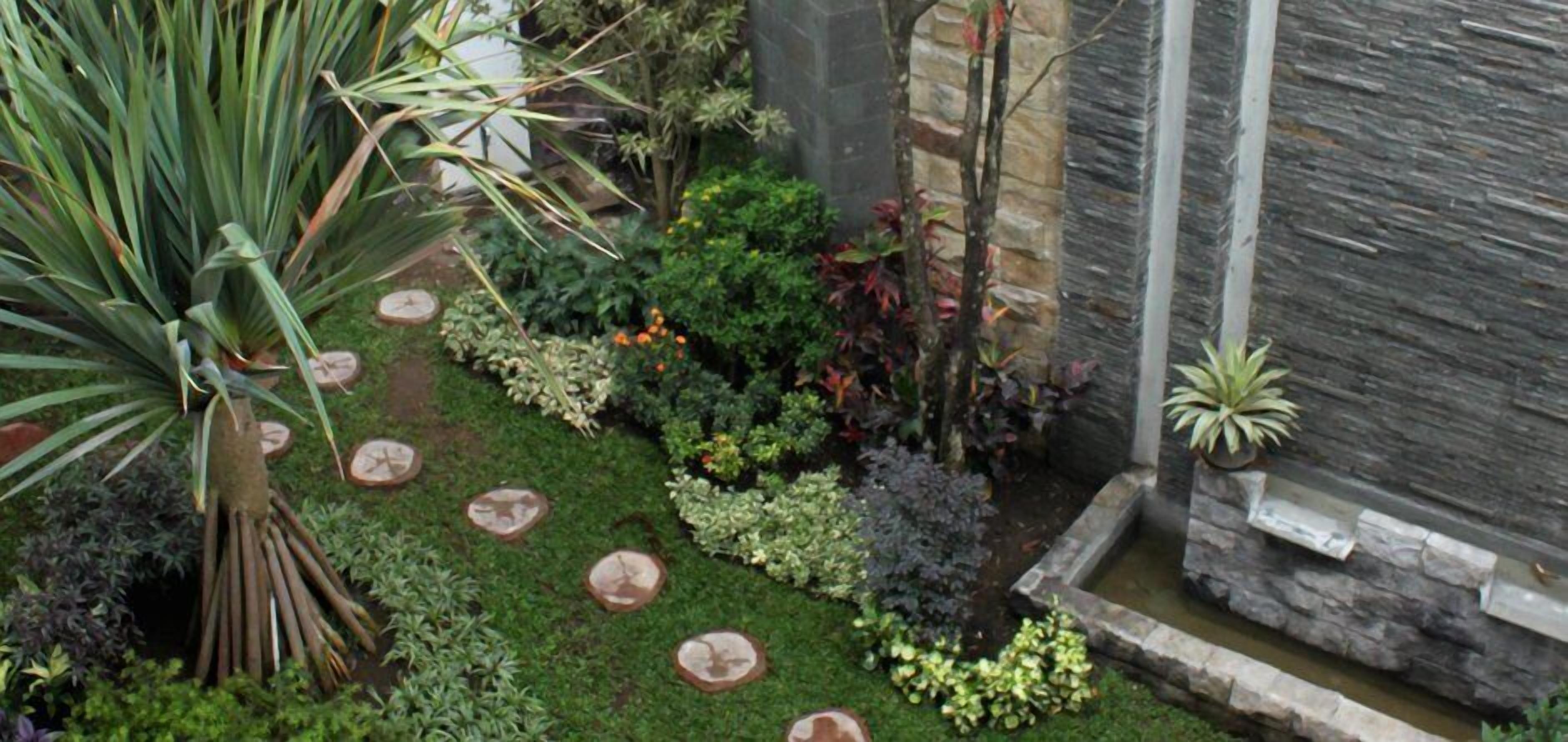A garden with various plants and a stone pathway.