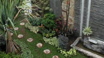 A garden with various plants and a stone pathway.