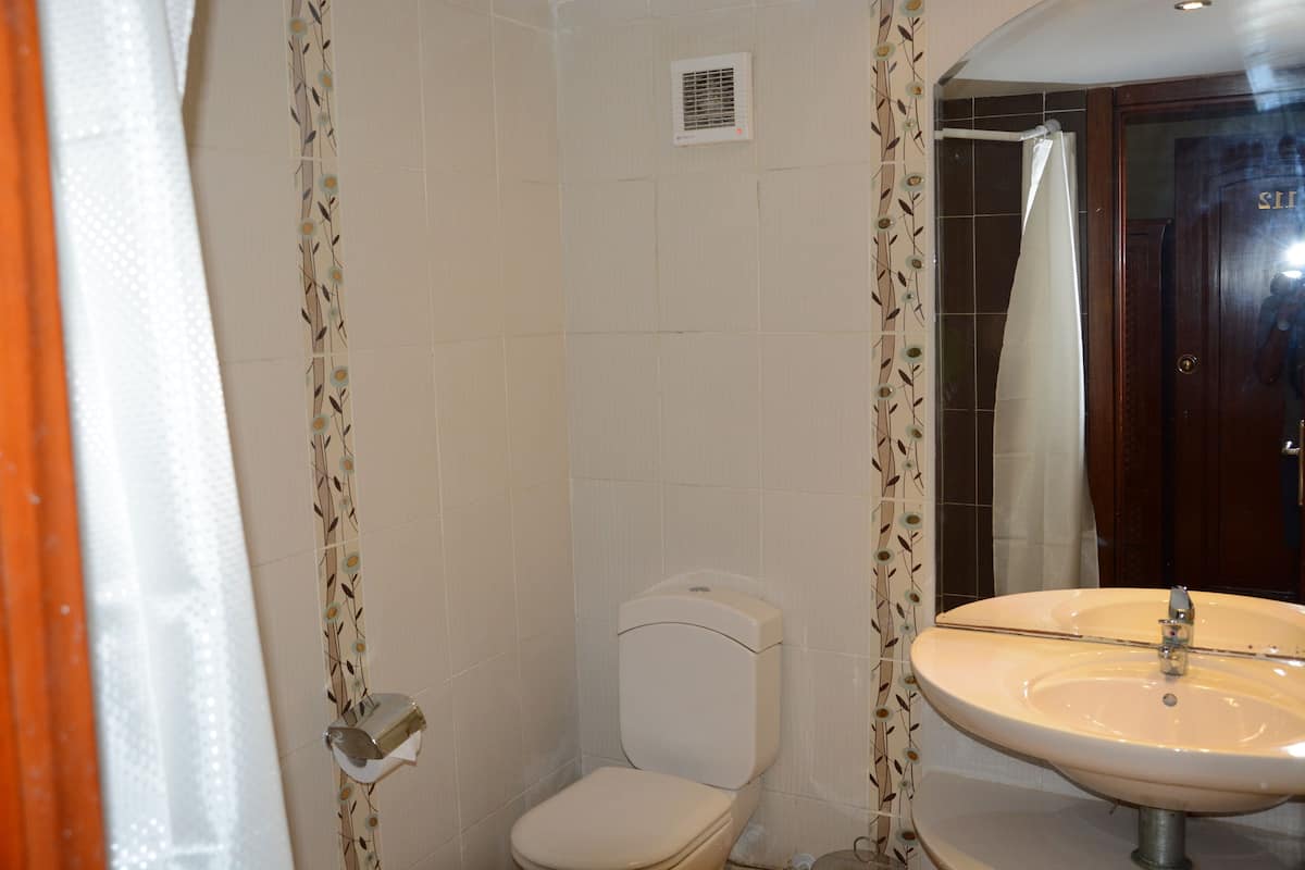 A bathroom with a toilet, a sink, and a shower curtain.