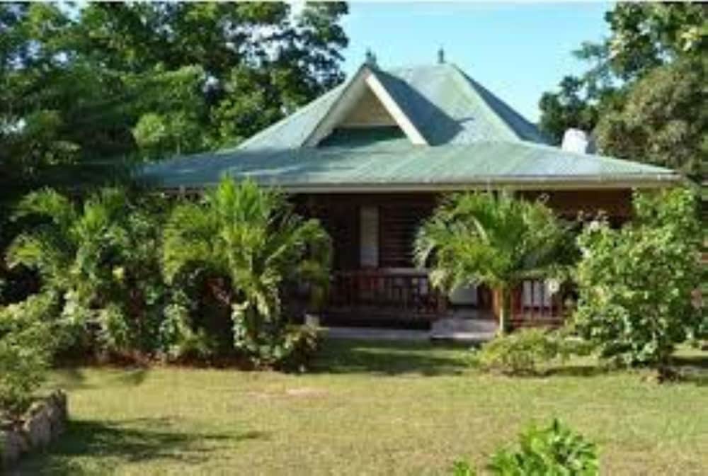 Cocotier du Rocher by null