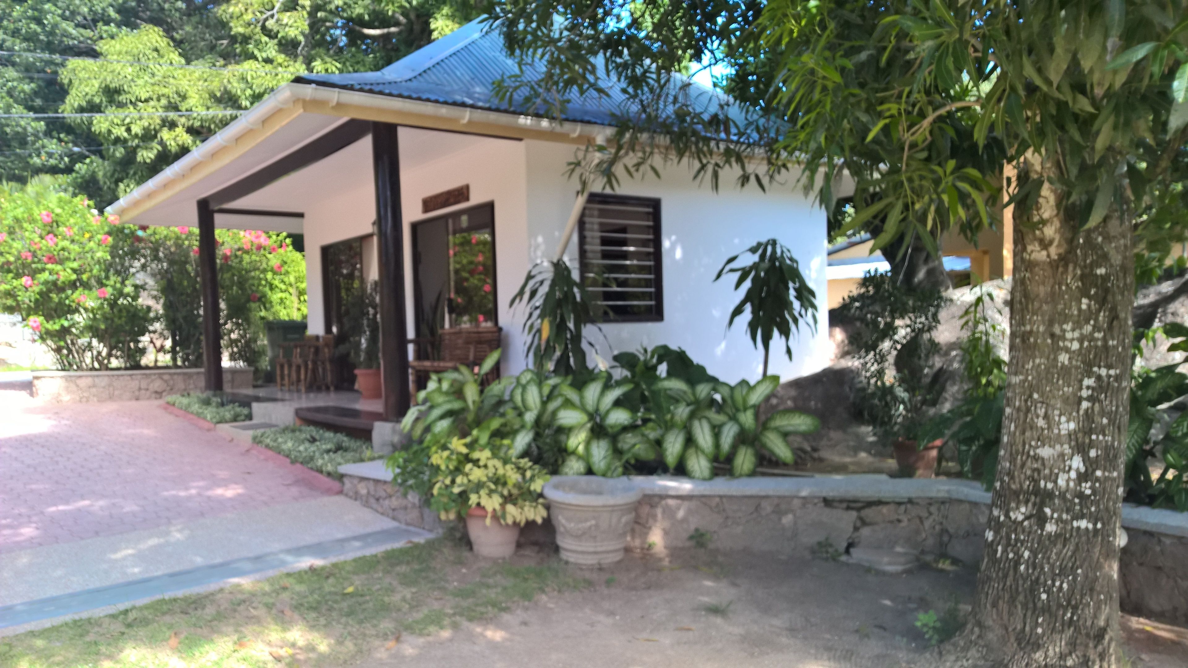 A small house with a porch, surrounded by potted plants and a tree.