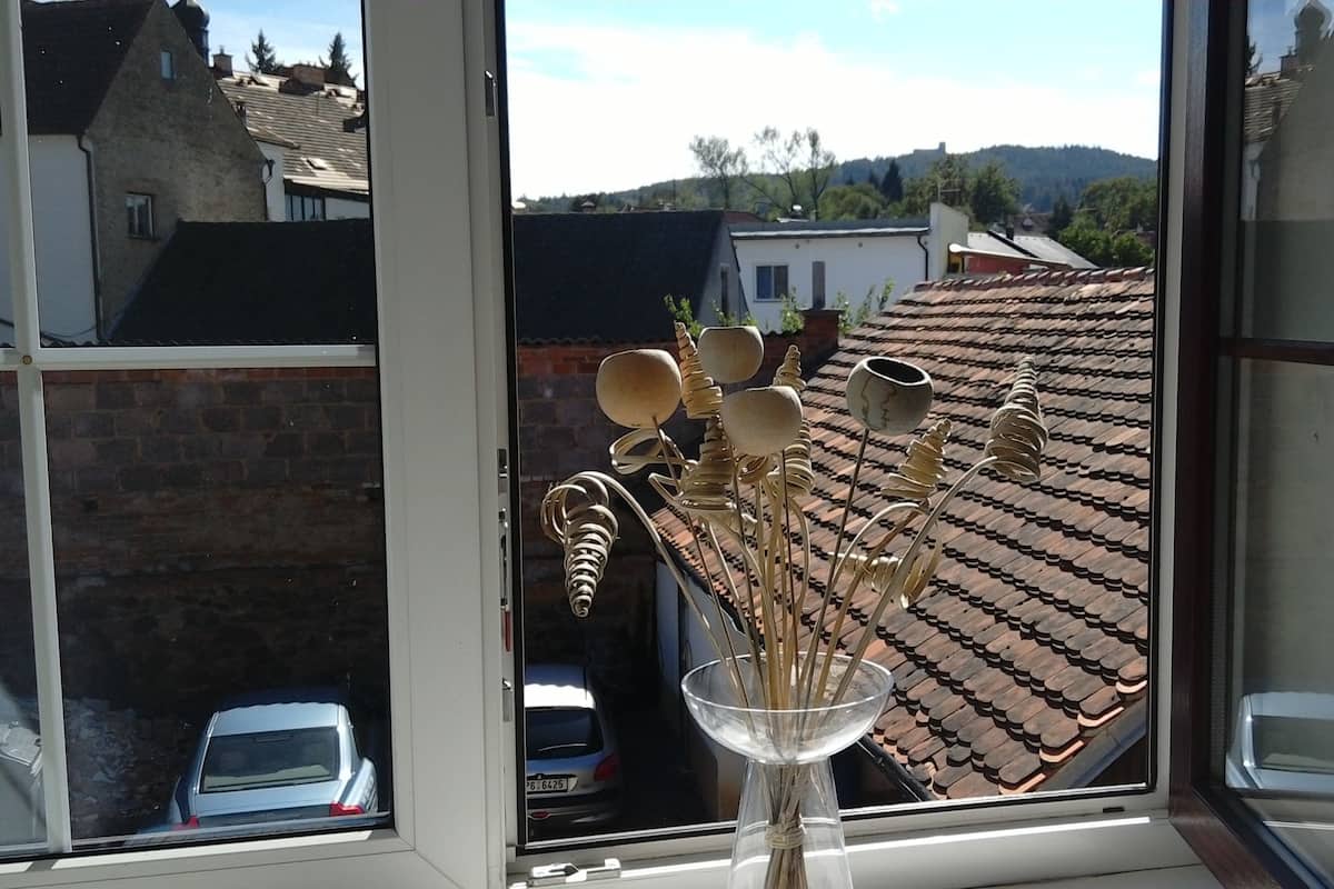 Una ventana con vistas a una zona residencial, cielo despejado y un florero con flores secas en el alféizar.