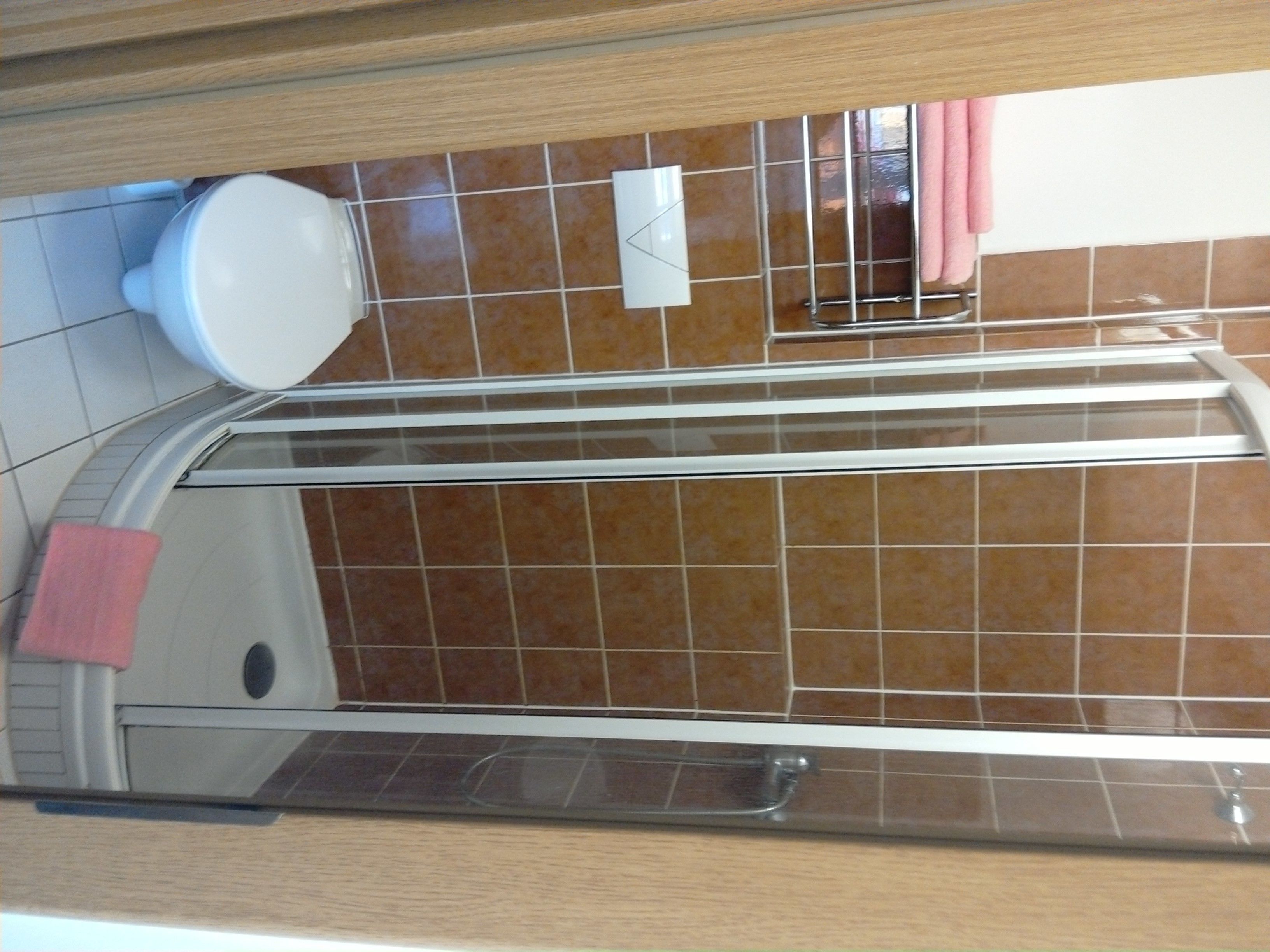 Une salle de bain avec des toilettes, une douche et un lavabo.