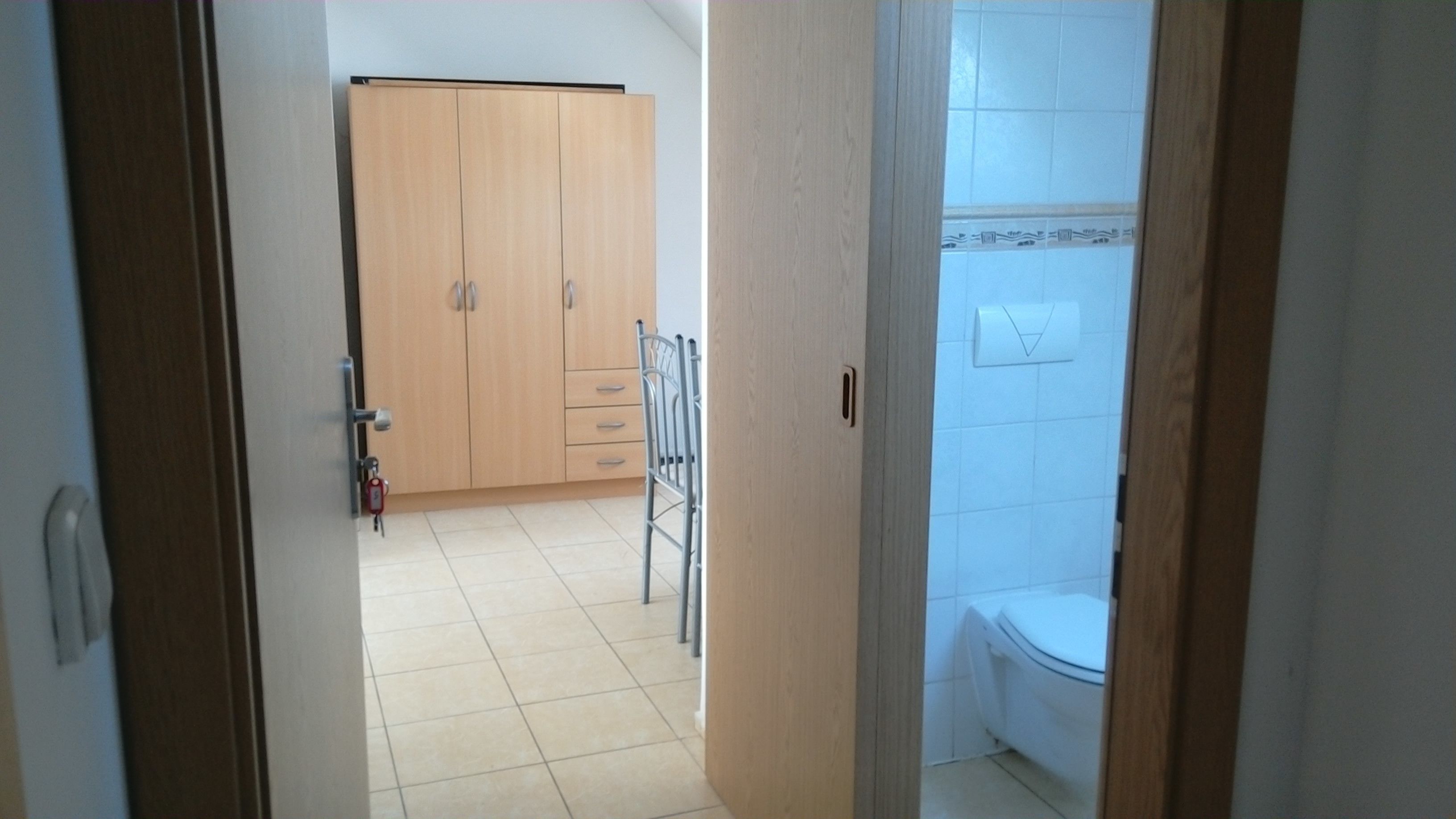 A hallway leading to a bathroom with a toilet and a shower area.