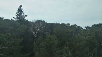 Dobbeltrom, balkong, parkutsikt | Utsikt fra balkong