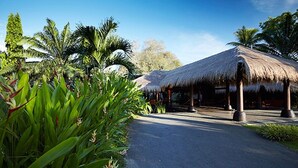 A thatched-roof structure with a paved pathway leading to it, surrounded by lush greenery and palm trees.