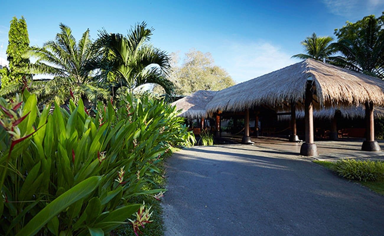 Construcción con techo de paja, con un sendero pavimentado que la conduce, rodeada de follaje tropical.