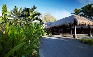 Edifici amb teulada de palla i un camí empedrat que hi condueix, envoltat de vegetació tropical.