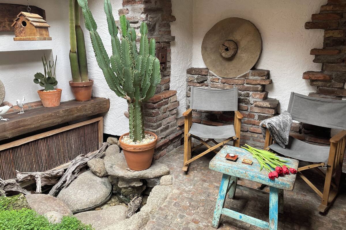A rustic room with a cactus, wooden furniture, and a brick wall.