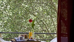 A table set outdoors with a breakfast spread, including a glass of orange juice, a red rose, and various breakfast items. - Hotel Galaxias (Corfu)
