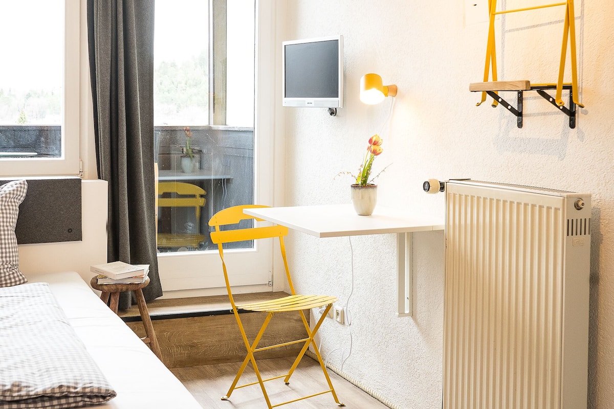A hotel room with a bed, a desk, a chair, a radiator, a TV, and a window with curtains.