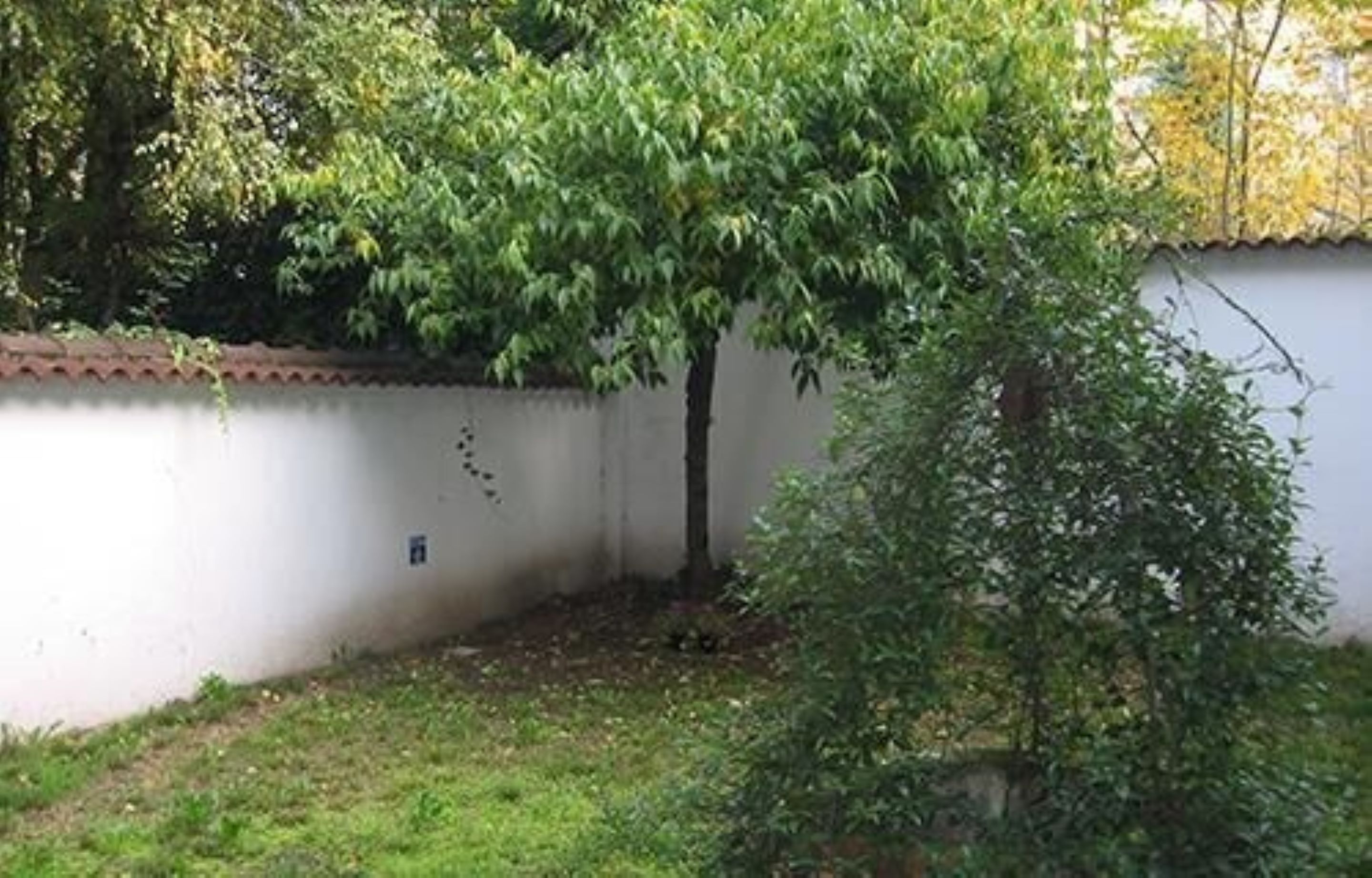 Foto - Casa Calicantus