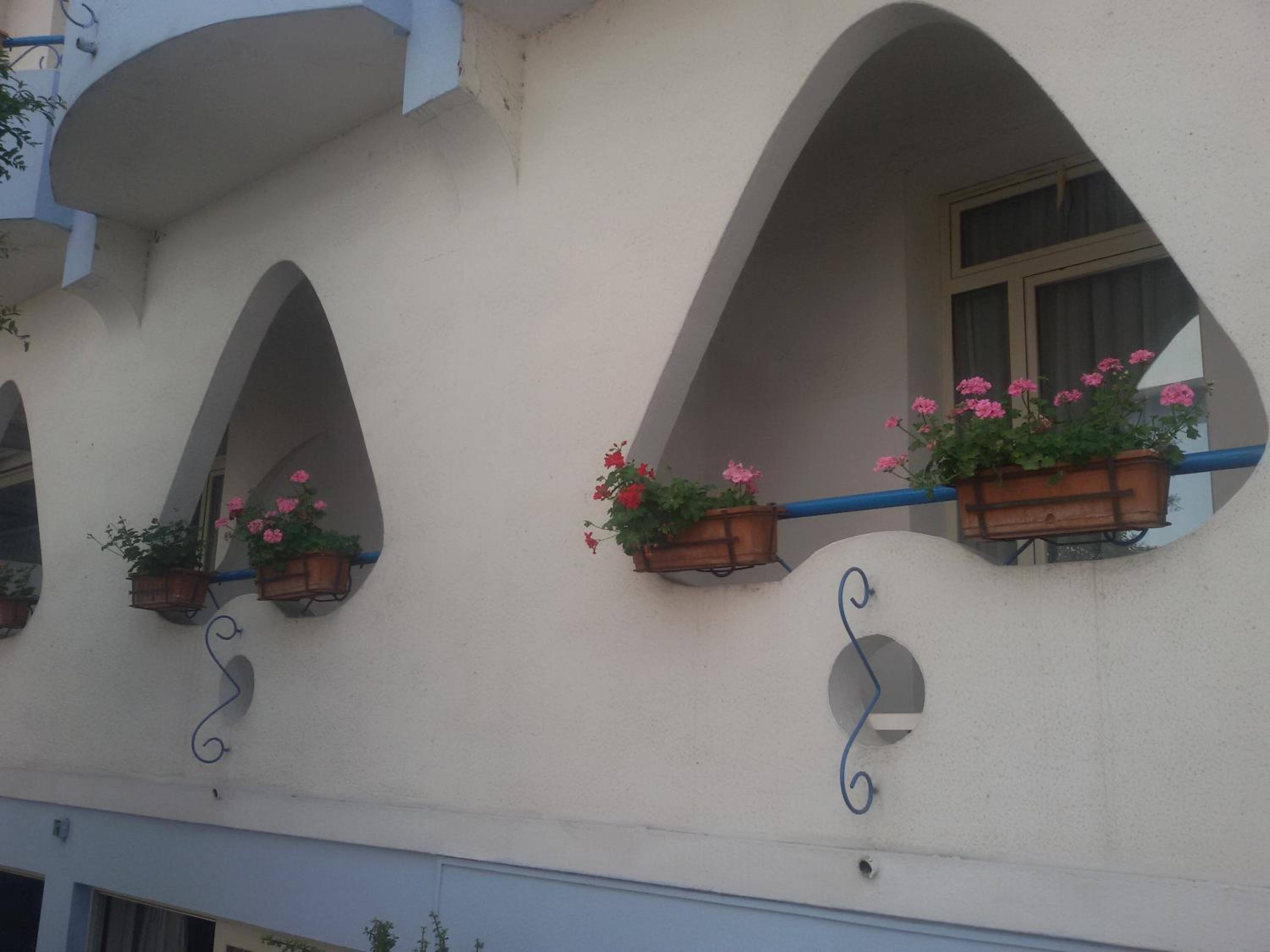 A building with arched windows and flower boxes.