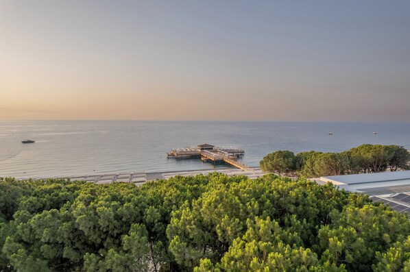 Vista costera con un muelle que se adentra en el mar, rodeado de abundante vegetación.